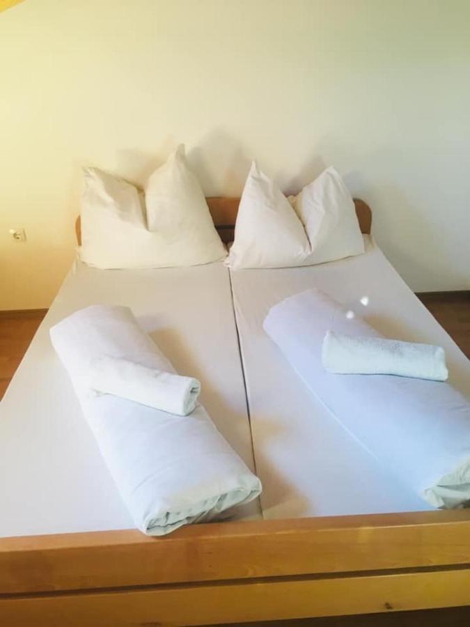 Omladinski Hotel Rostovo 布戈伊诺 外观 照片